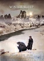 Watch Somn de iarn� 0123movies