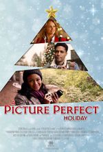Watch A Picture Perfect Holiday 0123movies