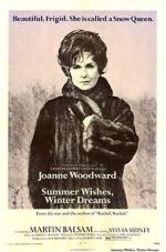 Watch Summer Wishes, Winter Dreams 0123movies