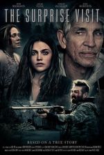 Watch The Surprise Visit 0123movies