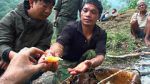 Watch Hallucinogen Honey Hunters (Short 2011) 0123movies