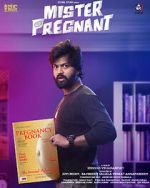 Watch Mr. Pregnant 0123movies