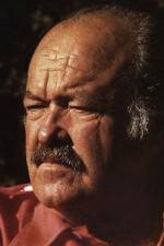 Watch The Return of Frank Cannon 0123movies