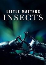 Watch Little Matters: Insects 0123movies