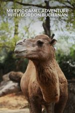 Watch My Epic Camel Adventure with Gordon Buchanan 0123movies