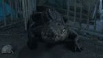 Watch Croc! 0123movies