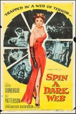 Watch Spin a Dark Web 0123movies