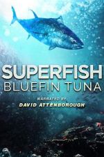 Watch Superfish Bluefin Tuna 0123movies