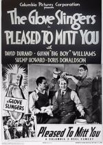 Watch Pleased to Mitt You 0123movies