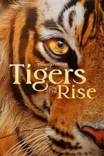 Watch Tigers on the Rise 0123movies