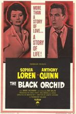 Watch The Black Orchid 0123movies