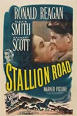 Watch Stallion Road 0123movies