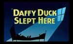 Watch Daffy Duck Slept Here (Short 1948) 0123movies