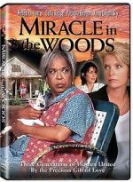 Watch Miracle in the Woods 0123movies