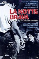 Watch The Big Night 0123movies