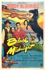 Watch Black Midnight 0123movies