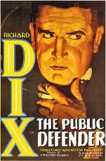 Watch The Public Defender 0123movies