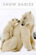 Watch Snow Babies 0123movies