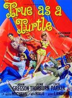 Watch True as a Turtle 0123movies