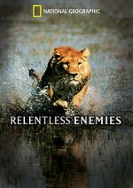 Watch Relentless Enemies 0123movies