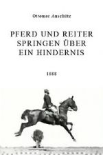 Watch Pferd und Reiter Springen �ber ein Hindernis 0123movies