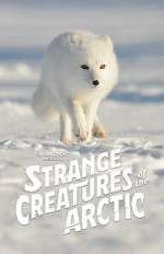 Watch Strange Creatures of the Arctic (TV Special 2022) 0123movies