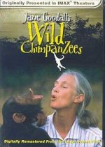 Watch Jane Goodall\'s Wild Chimpanzees 0123movies