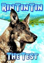 Watch The Test 0123movies
