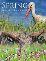 Watch Spring: The Return of Life 0123movies