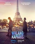 Watch Nothing Like Paris 0123movies