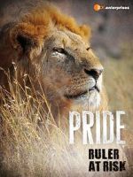 Watch Pride - Ruler\'s at Risk 0123movies