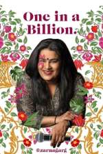 Watch Zarna Garg: One in a Billion 0123movies