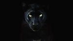 Watch The Real Black Panther (Short 2020) 0123movies