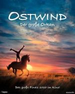 Watch Windstorm: The Great Hurricane 0123movies
