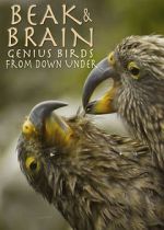 Watch Beak & Brain - Genius Birds from Down Under 0123movies