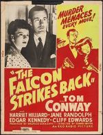 Watch The Falcon Strikes Back 0123movies