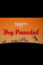 Watch Dog Pounded (Short 1954) 0123movies