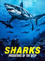 Watch Sharks: Predators of the Deep 0123movies