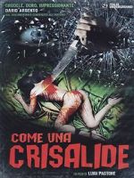 Watch Symphony in Blood Red 0123movies