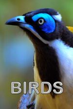 Watch Birds (Short 2021) 0123movies
