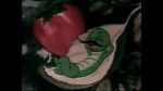 Watch The Wacky Worm (Short 1941) 0123movies