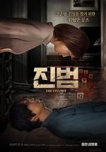 Watch The Culprit 0123movies