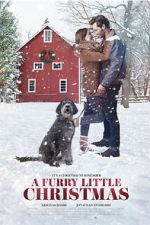 Watch Furry Little Christmas 0123movies