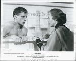 Watch The Wars 0123movies