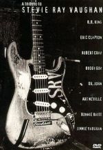 Watch A Tribute to Stevie Ray Vaughan 0123movies