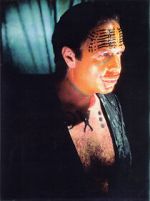 Watch The Age of Insects 0123movies
