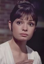 Watch Gidget Grows Up 0123movies