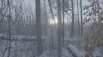 Watch Once There Was a Winter 0123movies