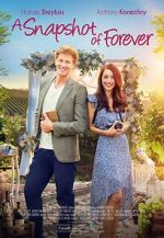 Watch A Snapshot of Forever 0123movies