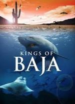 Watch Kings of Baja 0123movies